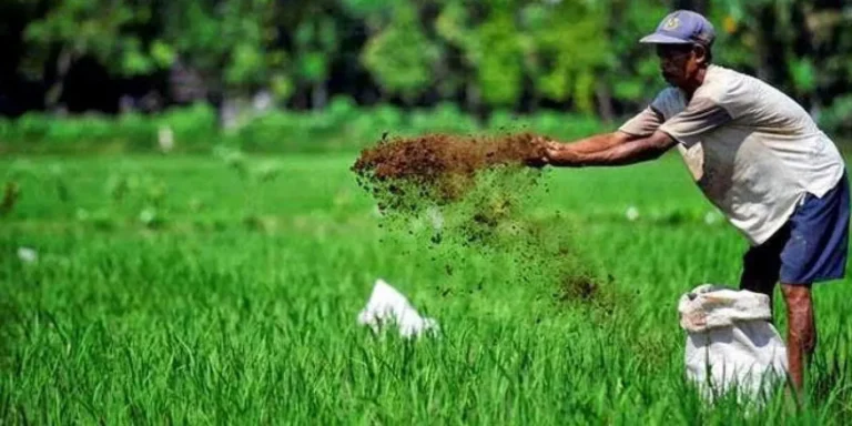 Inovasi Teknologi Pembuatan Pupuk Organik