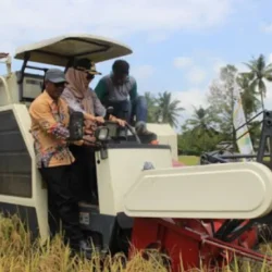 Inovasi Teknologi Penanganan Pasca Panen