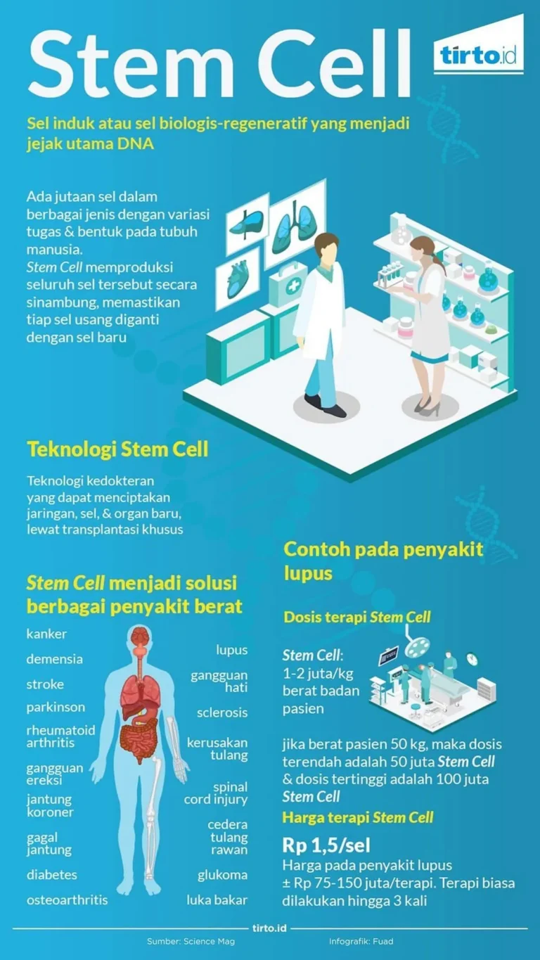 Membongkar Teknologi Stem Cell