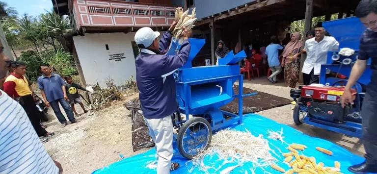 Mengatasi Tantangan dan Masa Depan Teknologi Pasca Panen