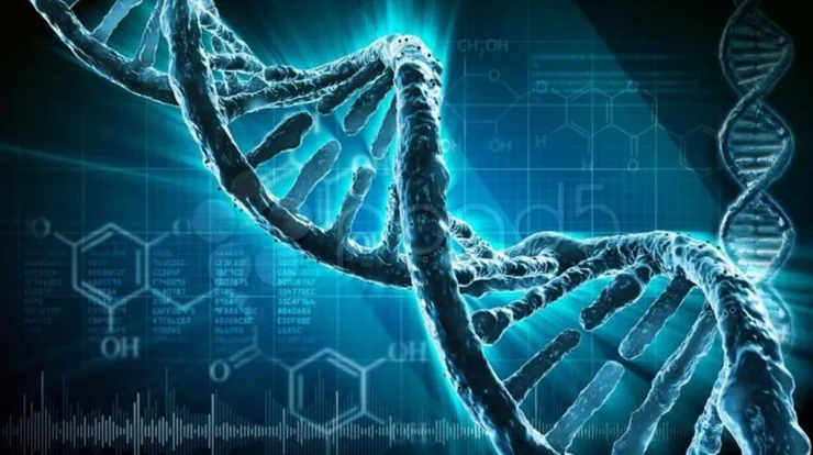 Penerapan Bioinformatika dalam Riset Genetika