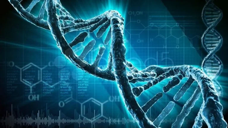 Penerapan Bioinformatika dalam Riset Genetika