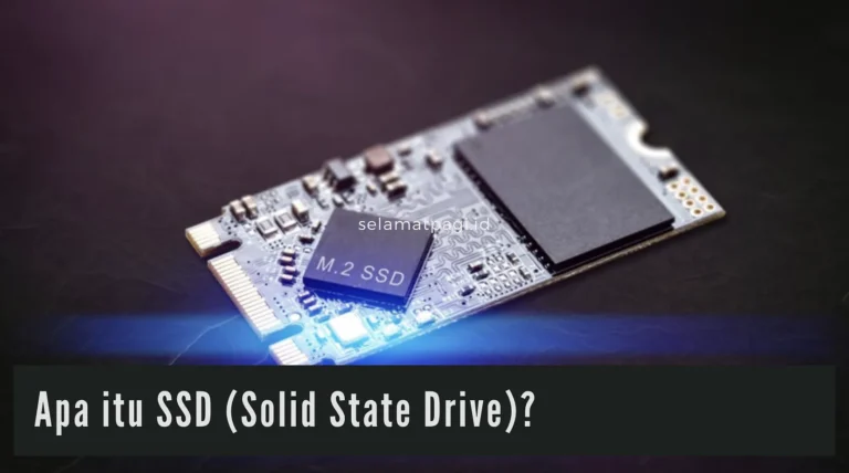 Review Perangkat Penyimpanan SSD Kecepatan Transfer Tinggi dan Kapasitas Luar Biasa