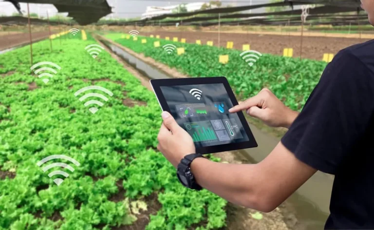 Smart Agriculture: Meningkatkan Efisiensi dengan Teknologi Terkini