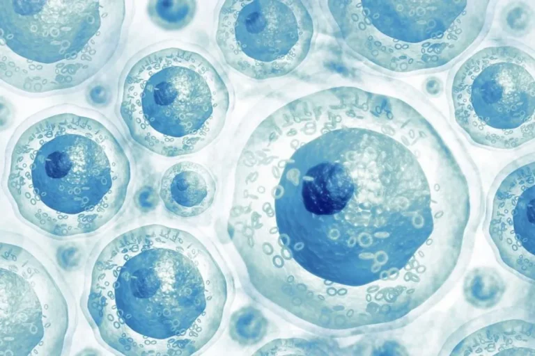 Tantangan dan Harapan di Balik Teknologi Stem Cell