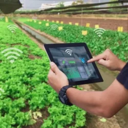Transformasi Pertanian Melalui Teknologi Canggih